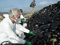 20061113141239-chapapote.jpg