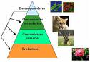 20071218102925-imagen-para-el-blog.jpg